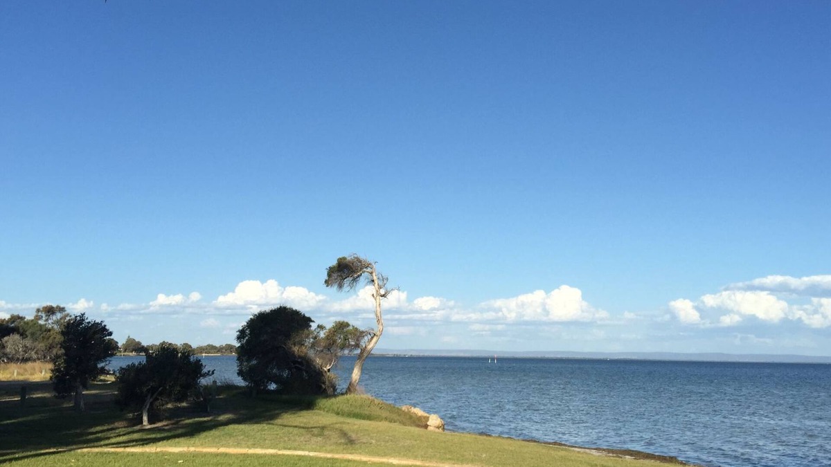 Falcon House | The Edge Estuary house