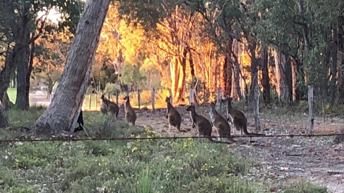 Lower Chittering House | The Edge Retreat - Slip away for awhile.