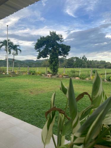 Manolo Fortich Resort | The Eliana Farm Resort and Villas