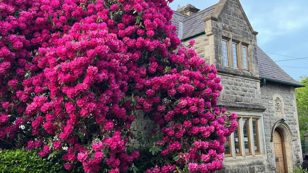 Kilkenny Apartment | The Emerald Heaven in the heart of Kilkenny city