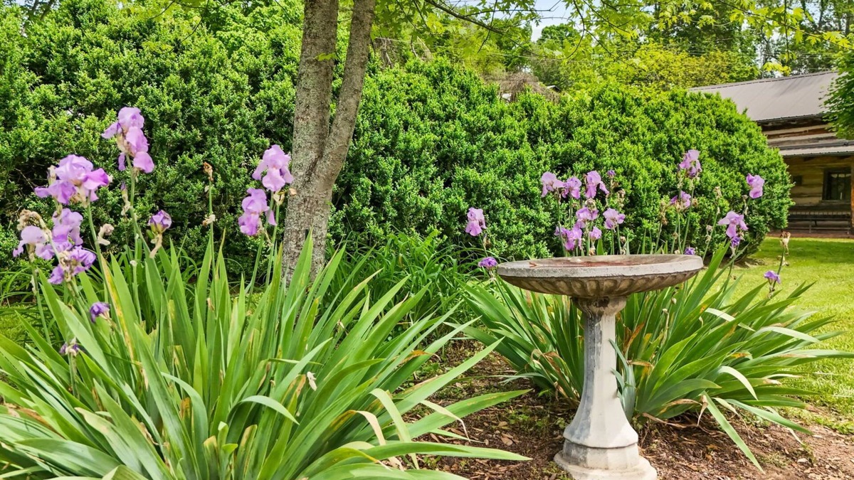 Emory Bed & Breakfast | The Emory House