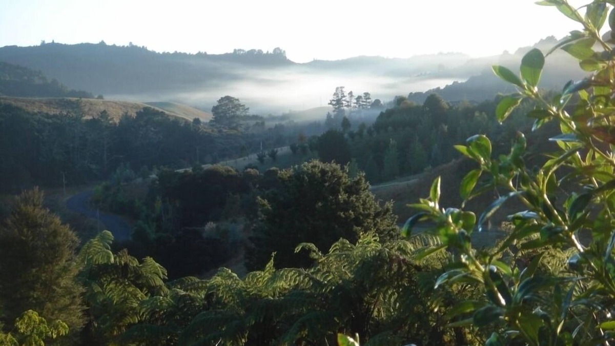 Puhoi Other | The Essential Garden Studio