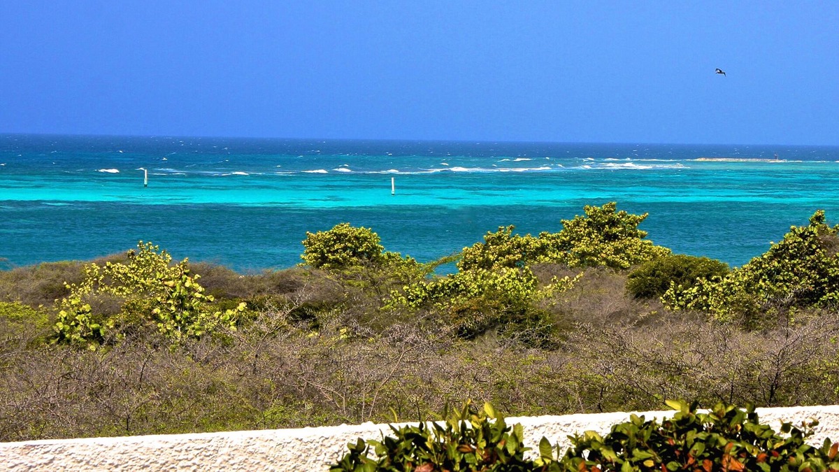 Sero Colorado House | The Famous Baby Beach Vacation Home in Aruba!