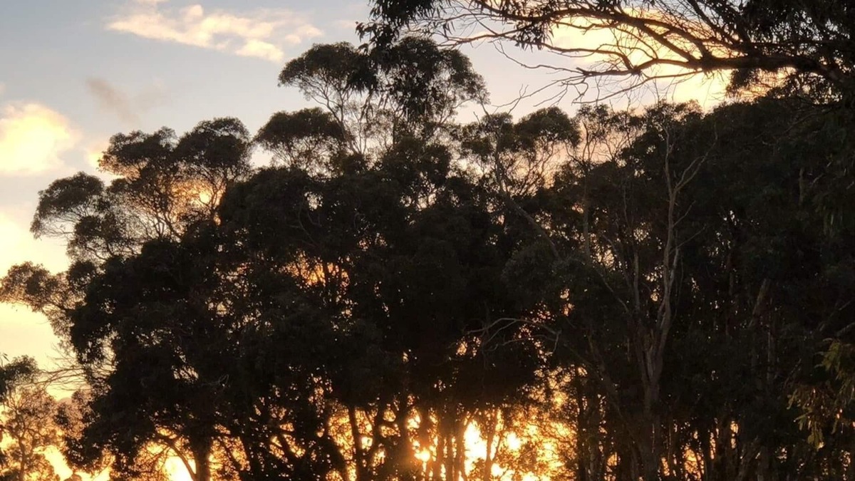 Frankland River House | The FarAway House - holiday home in quiet rural location near wineries and walks