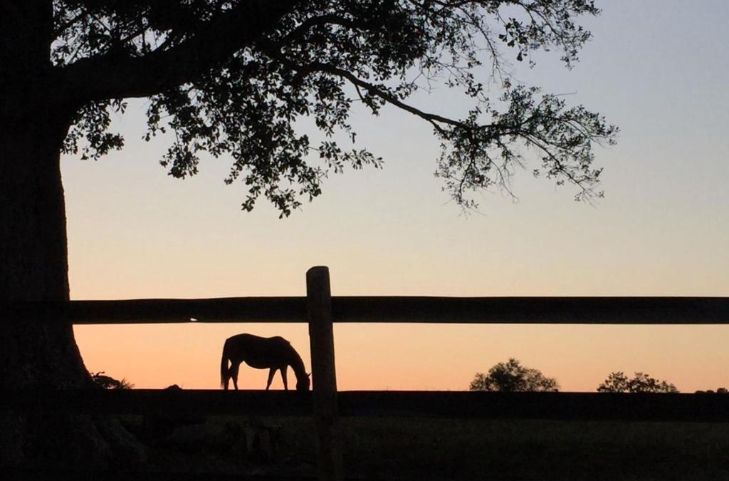 Madison Bed & Breakfast | The Farmhouse Inn