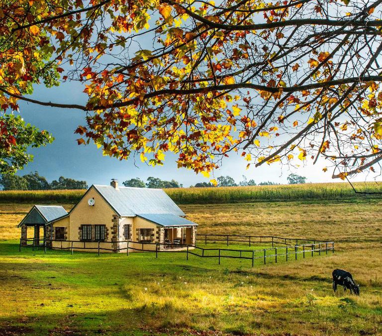 Nottingham Road Ski Chalet | The FarSide Dam Cottage
