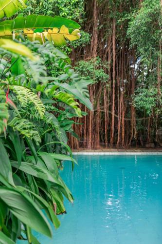 Battaramulla Bed & Breakfast | The Fern Cove Villa - Colombo