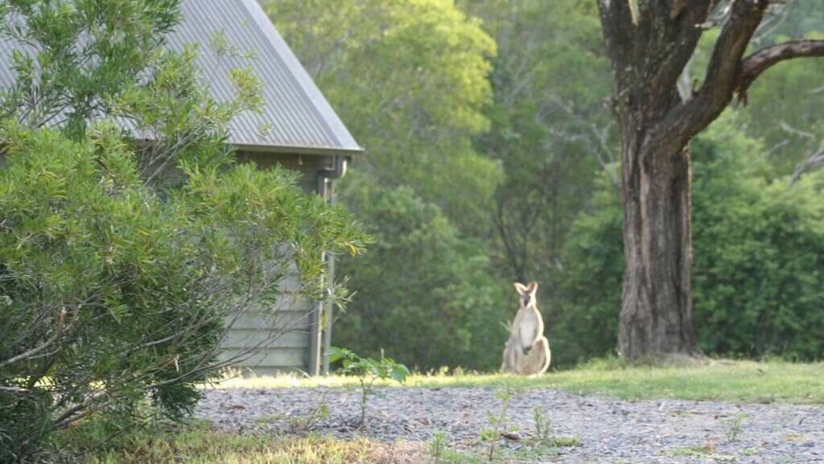Bandon Grove Cabin | The Folly is a beautiful 2 bedroom holiday home with a log fire and fire pit.