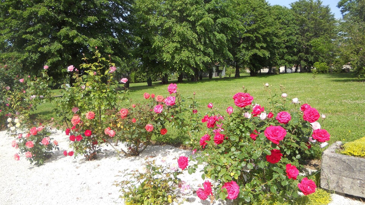 Saint-Martial-de-Vitaterne House | The house in the shade of the lime trees