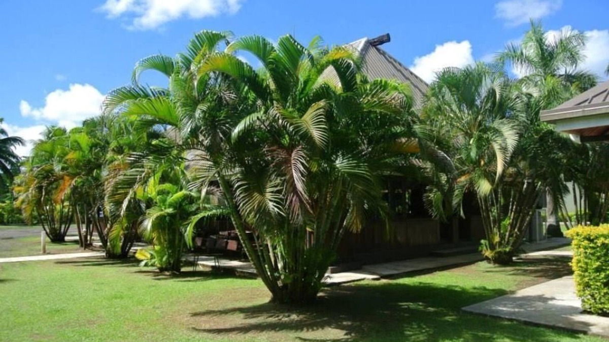 Labasa Bed & Breakfast | The Friendly North Inn