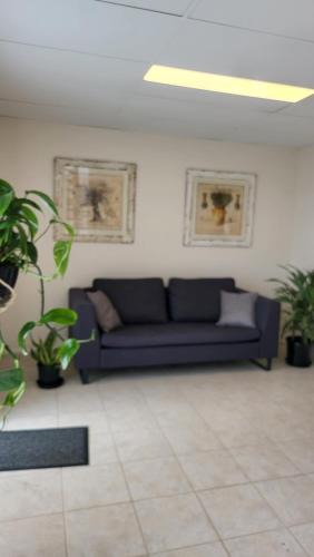East Brisbane Bed & Breakfast | The Gabba B&B