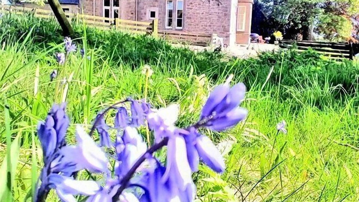 Berwick-upon-Tweed Bed & Breakfast | The Gables