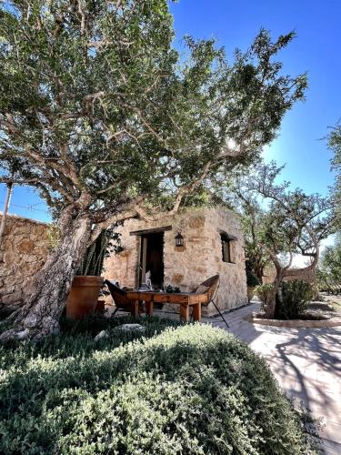 Sidi Kaouki House | The Gate House Studio Sidi Kaouki