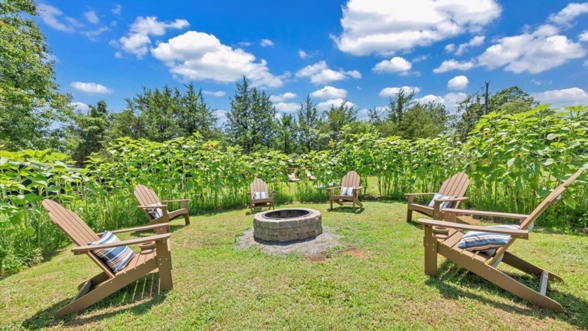 Scottsburg House | The Getaway at Kerr Lake - Bring your boat!
