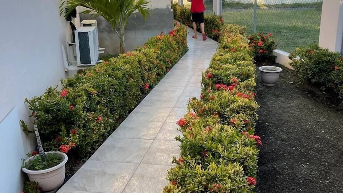 Basseterre House | The Golden Gate Inn