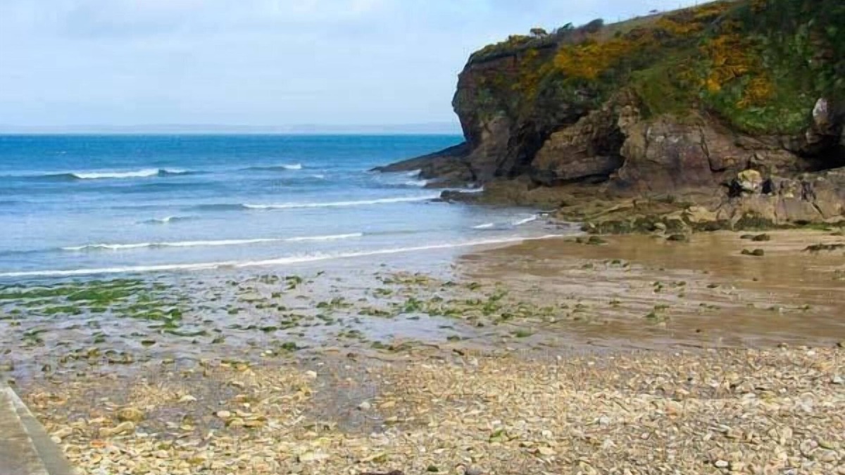 Little Haven Cottage | The Grange