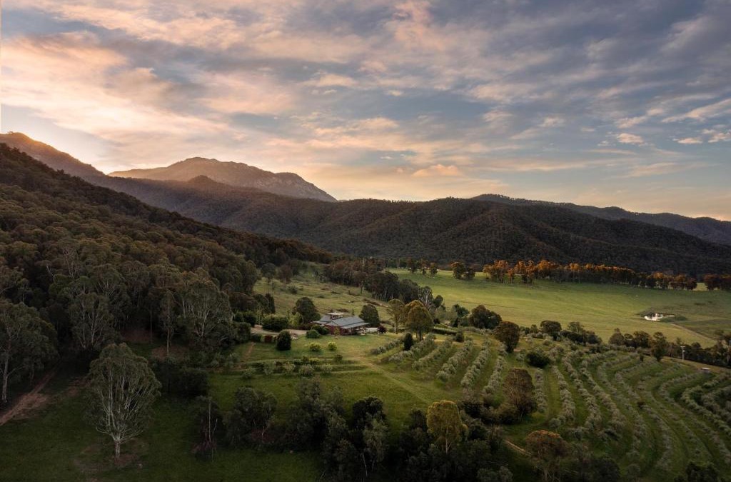 Porepunkah Villa | The Grove Estate
