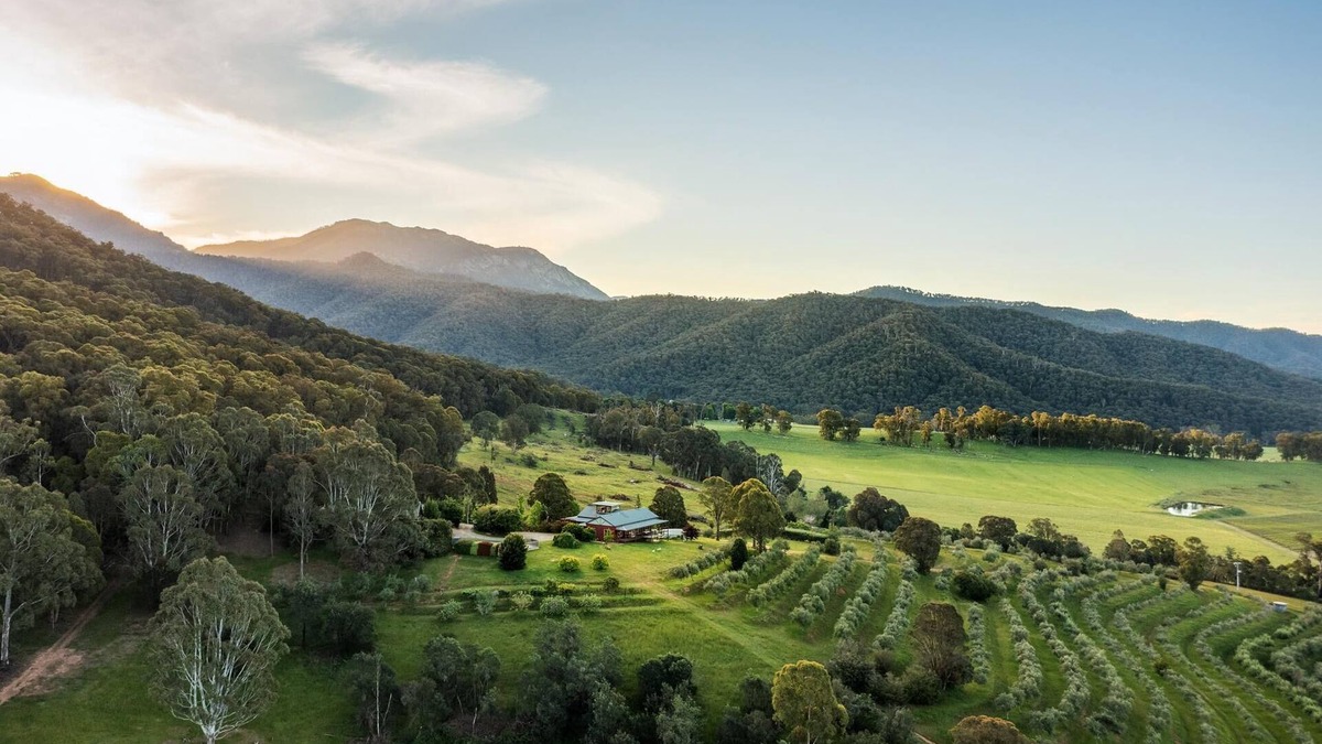 Porepunkah House | The Grove Estate - The pièce de resistance of this property is the view, be it the 360-degree views of the surrounding bush side, valley and the Region’s famous Mt Buffalo or perhaps the view of the spectacular and famous artwork showcased through th