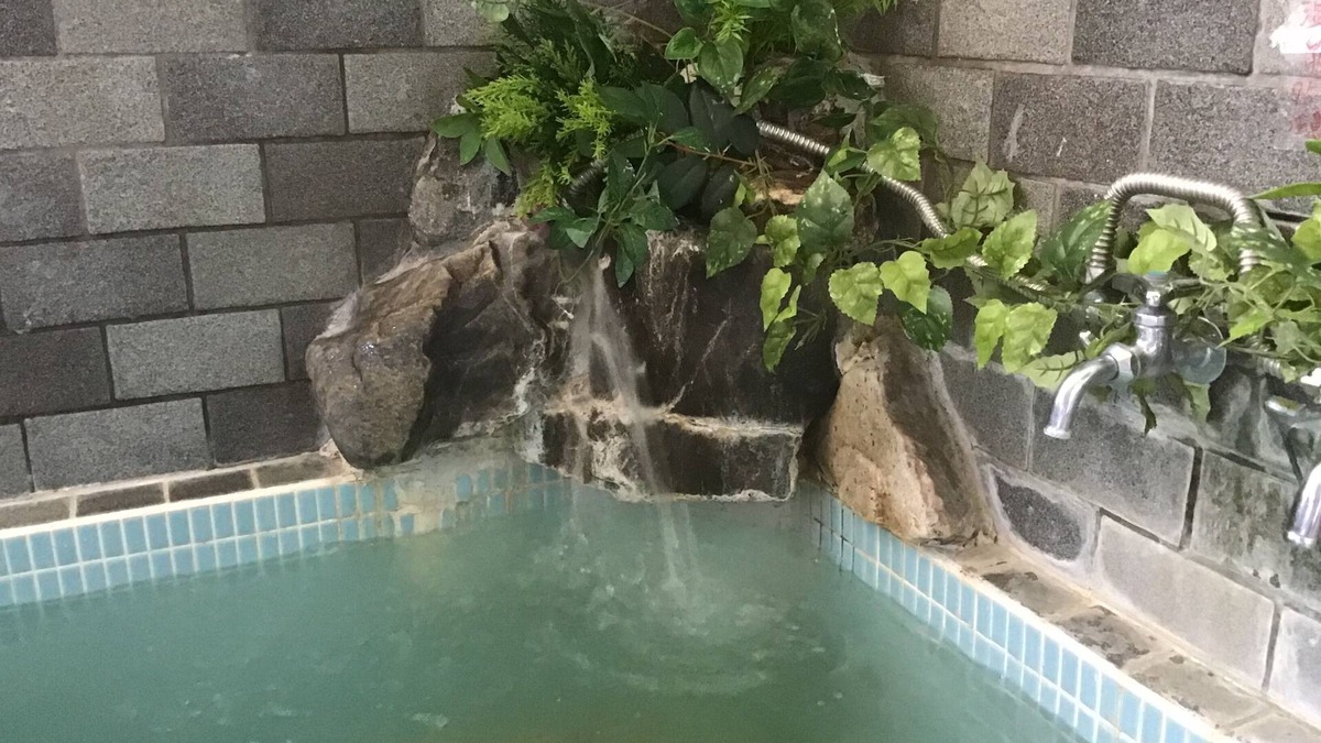 Azumino House | The guest house "Morino Haiji Azumino Tsu" (Forest Dwarf) is located in a quiet forest. Enjoy the abundant hot springs and relax. Convenient to Hakuba, Matsumoto Castle, and Kisoji.