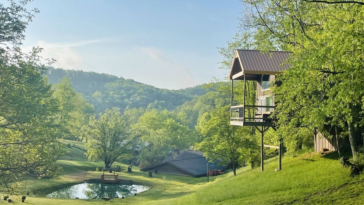 Weston Cabin | The "Hang-over" Winery Treehouse