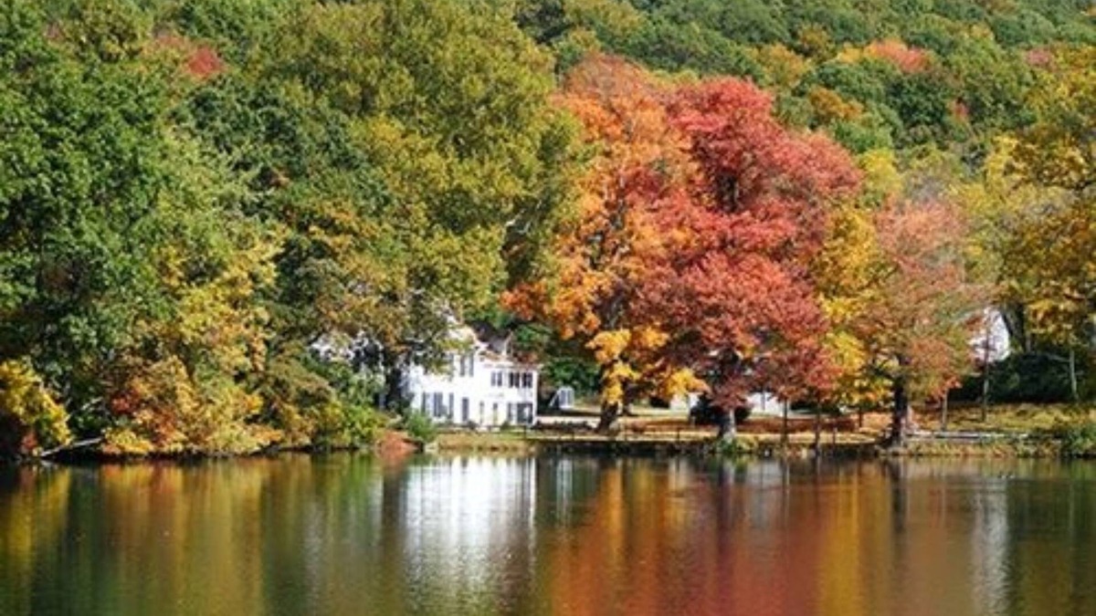 Cold Spring Harbor Bed & Breakfast | The Harbor Rose