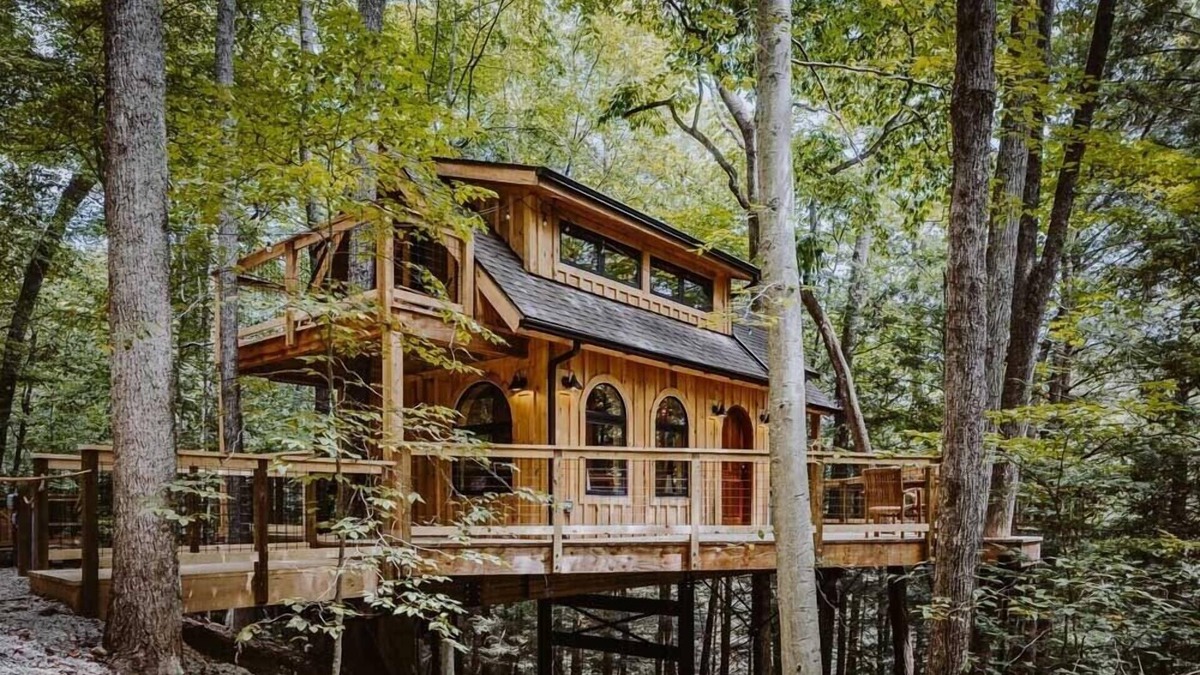 Laurelville Cabin | The Hickory Treehouse w/Suspension Bridge