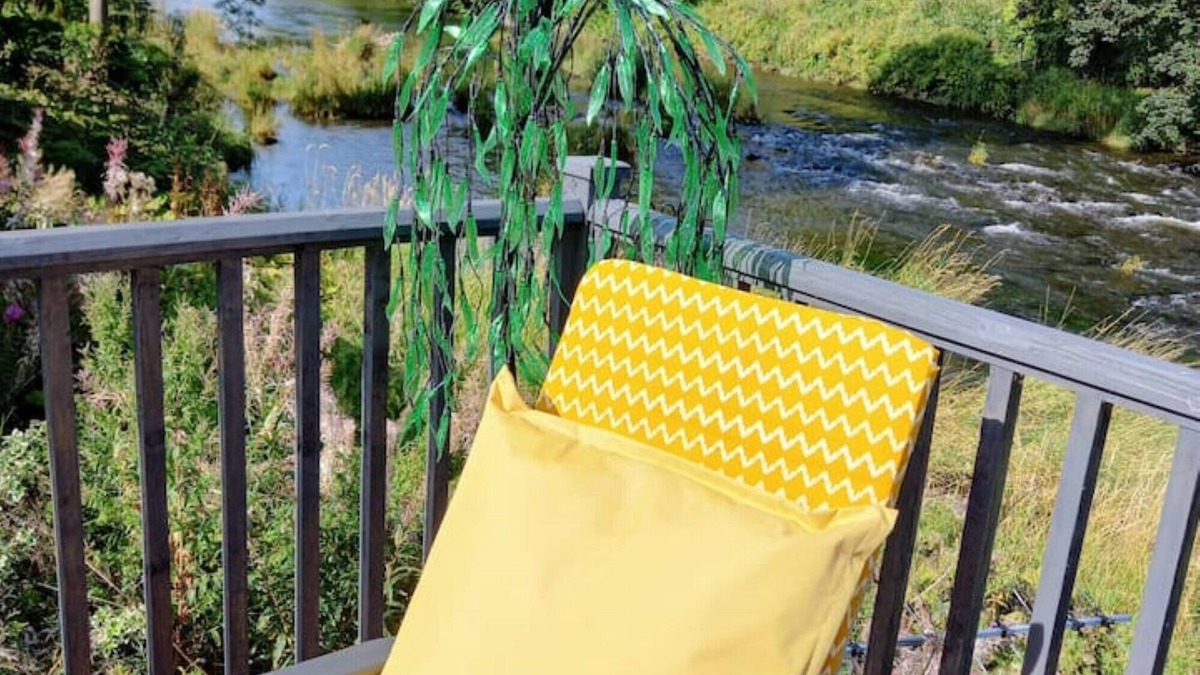 Hawick Cabin | The HIVE on the river bank