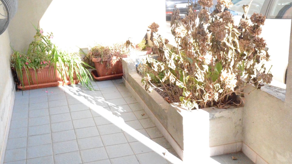 Fonni Apartment | The Holly Cozy apartment for families and small groups!