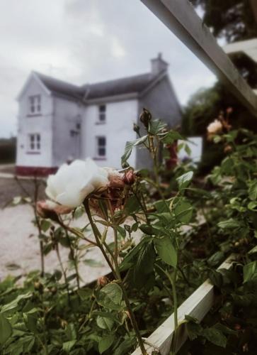 Plumbbridge House | The Home House