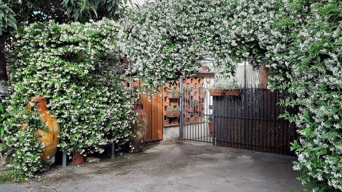 Campo di Marte Apartment | THE HOME OF JASMINE AND MEDLAR, TO MAKE YOU FEEL AT HOME.