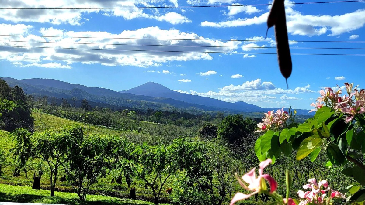 Canton Guatuso House | The House on the Hill