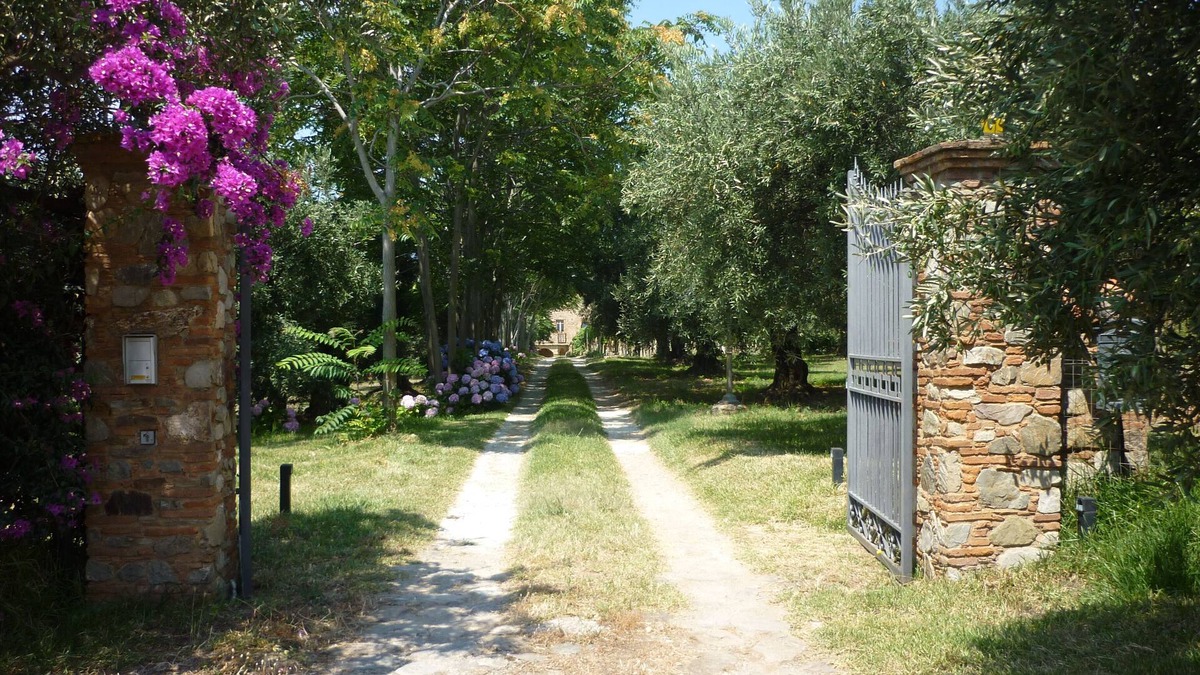 Gizzeria House | The house of Gilda b & b