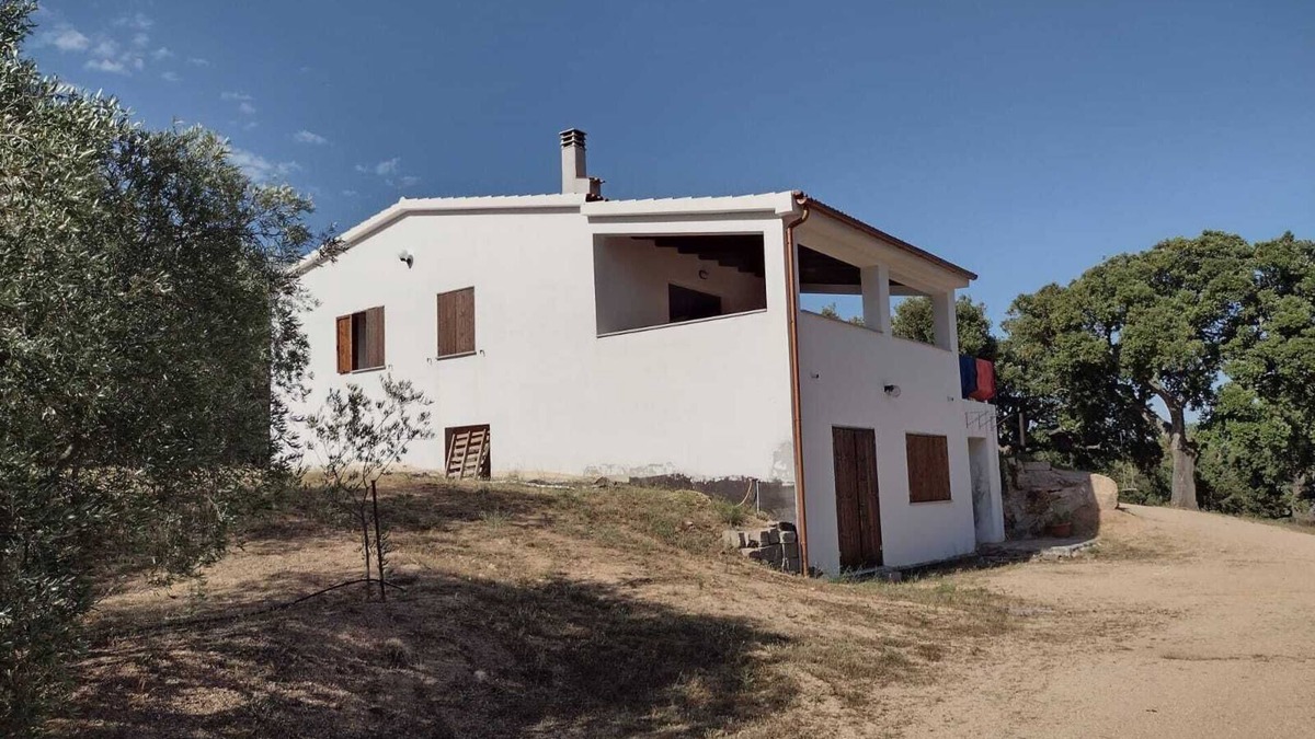 Monti House | The house of olive trees