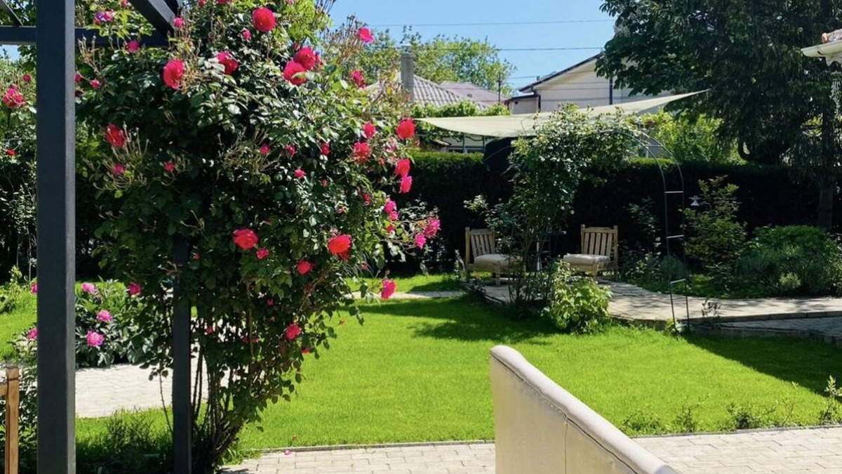 Eforie Nord House | The house of roses
