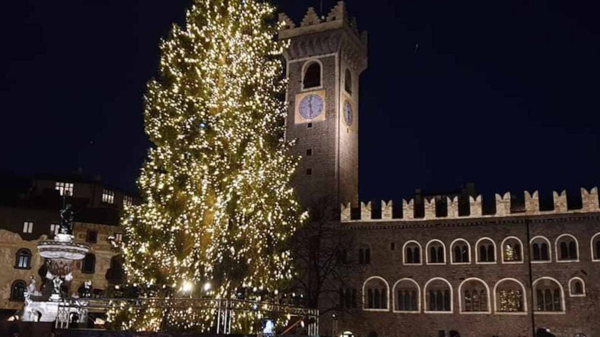 Trento Old Town Apartment | The House of Vale - Suffrage