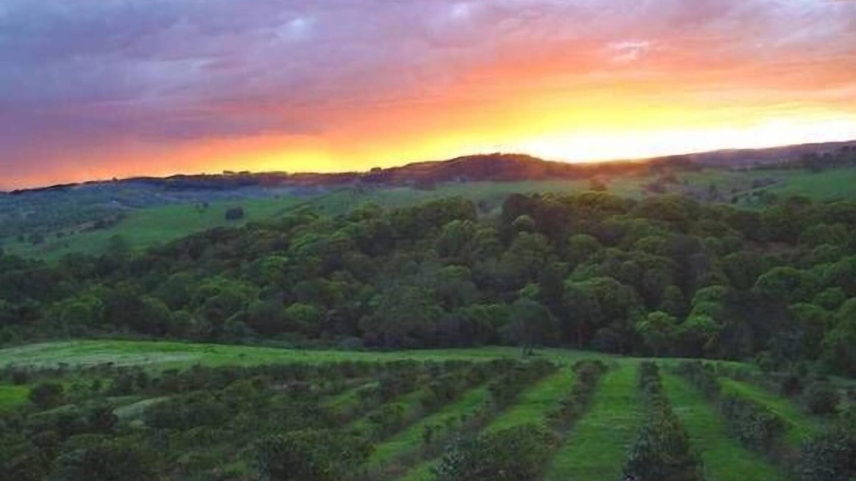 Coorabell Apartment | The Hut Byron Bay HInterland