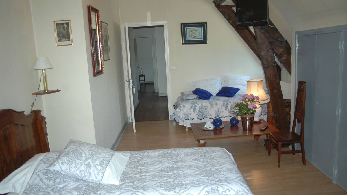 Lourdes - Tarbes House | The Hydrangeas suite - quality services (in the countryside in Lourdes)