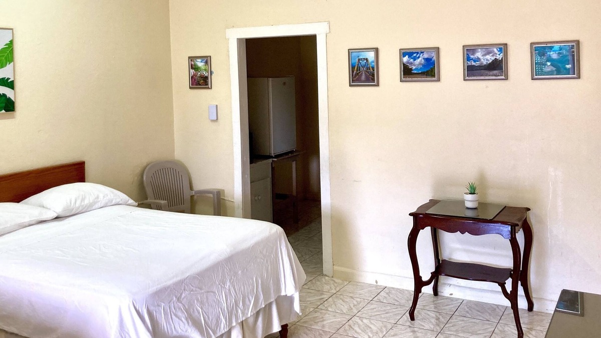 Montego Bay Hotel | THE IRIE INN APT #2