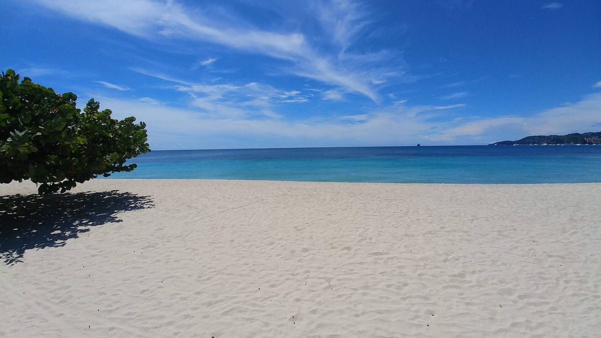 The Lime Apartment | The Island Pad apartment - 5 min walk to the beach!