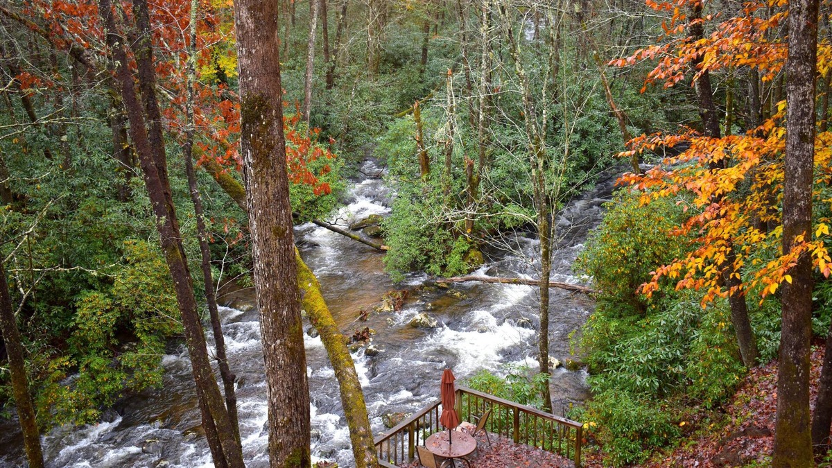 Robbinsville Cabin | The Junction-backwoods tiny home on brook trout stream with mountain ridge view