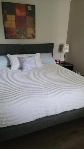 Southwest Calgary House | The King place, is a ROOM in a PRIVATE HOUSE, close to CTrain and Spruce Meadows Equestrian