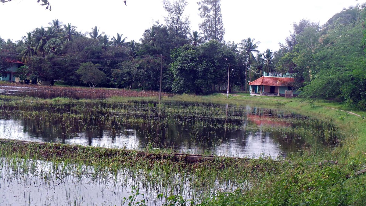 Poothurai Apartment | The Lake-Shore Apartment