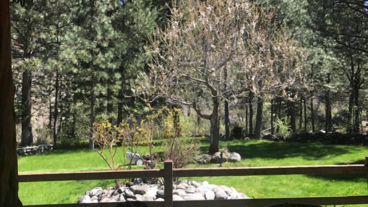 New Meadows Cabin | The Last Resort Lodge