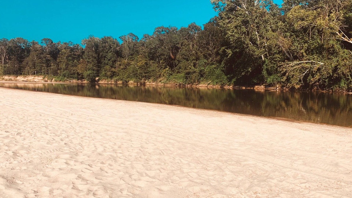 Petal House | The Leaf River Yacht Club