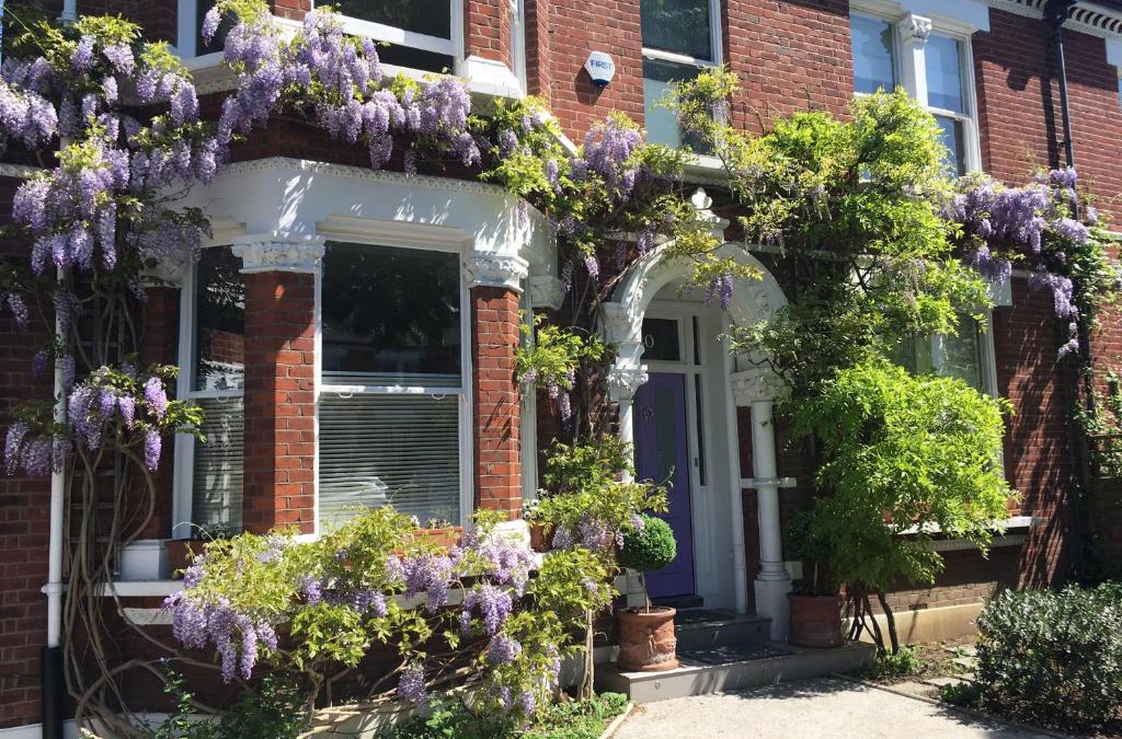 Thurlow Park Bed & Breakfast | The Lilac Door