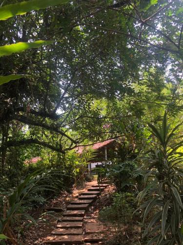 Bhagamandala House | The Linger Farm