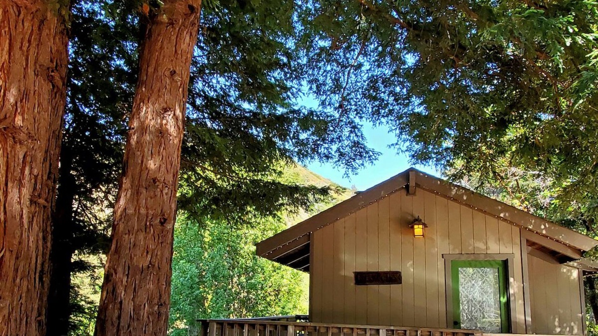 Carmel Cabin | The Little Gem in Big Sur w/Private Hiking & Views