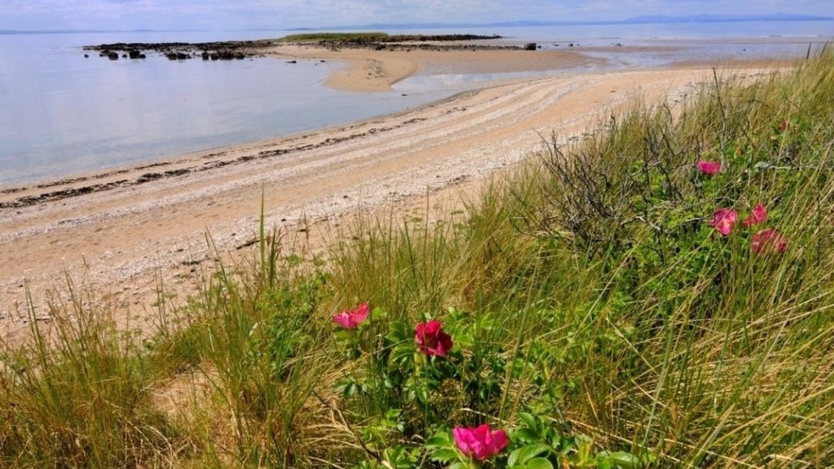 Aberlady Hotel | The Lodge at Craigielaw