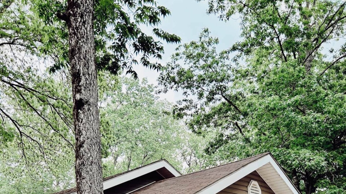 Piedmont Cabin | The Lone Writer's Nook