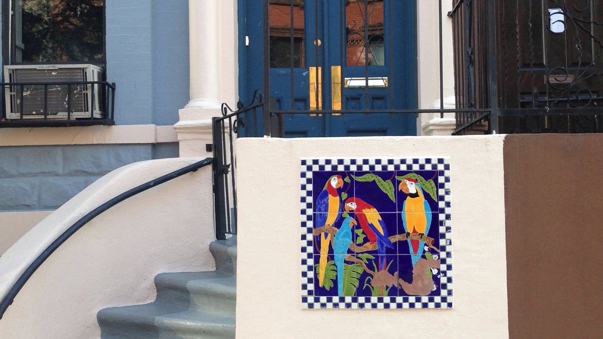 East Harlem House | The Macaw Guesthouse